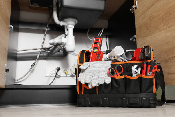 Best Clogged Drain Plumber  in Emmon, AK